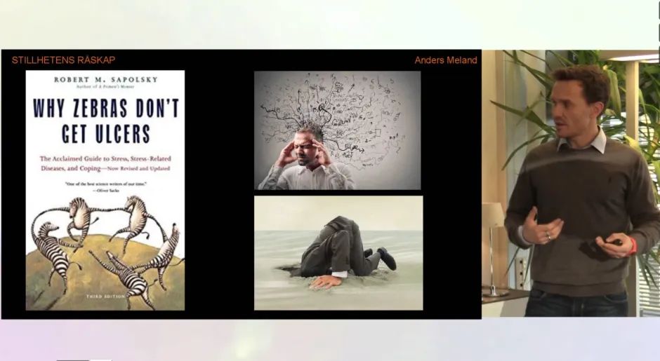 Mental training in high performance environments - Mindfullness