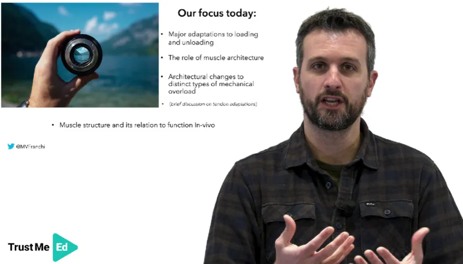 Adaptations in muscle morphology and architecture to exercise