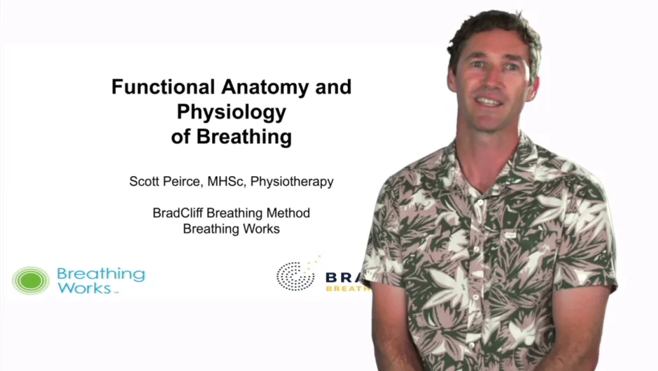 Anatomy and Physiology of the Respiratory System