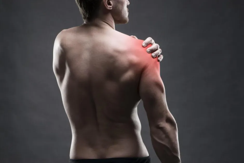 Shoulder Lectures Bundle: Become the shoulder expert in your clinic