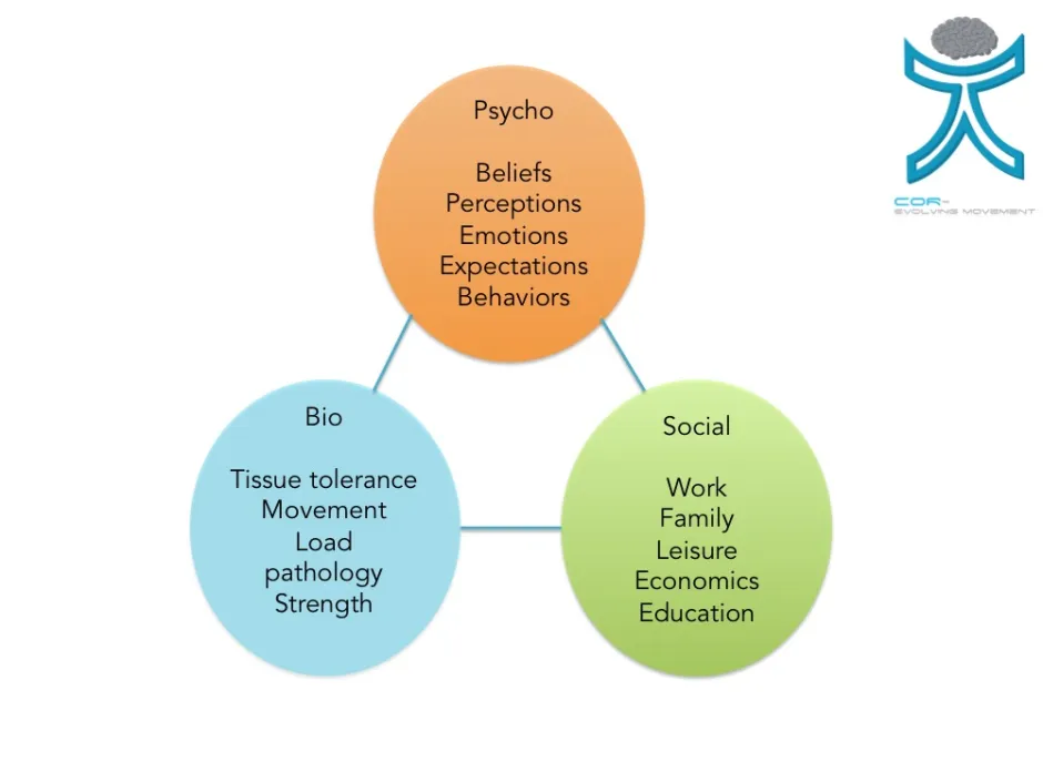 The Bio-Psycho-Social Model… ALL components are important!