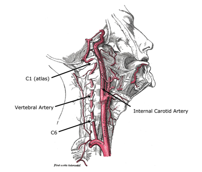cad