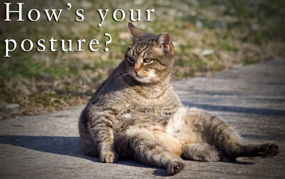 Is posture really THAT important?