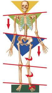 pelvis out of alignment