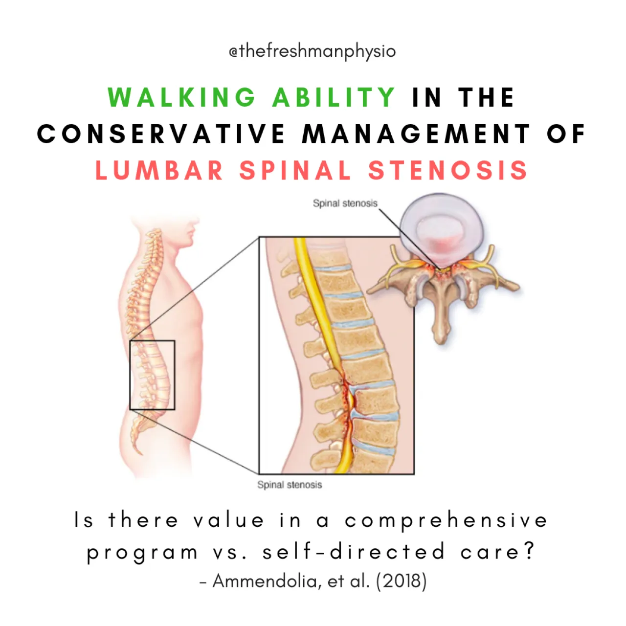 Conservative management of lumbar spinal stenosis