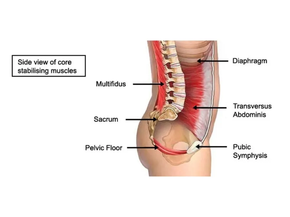 “You have low back pain because your core is weak.”