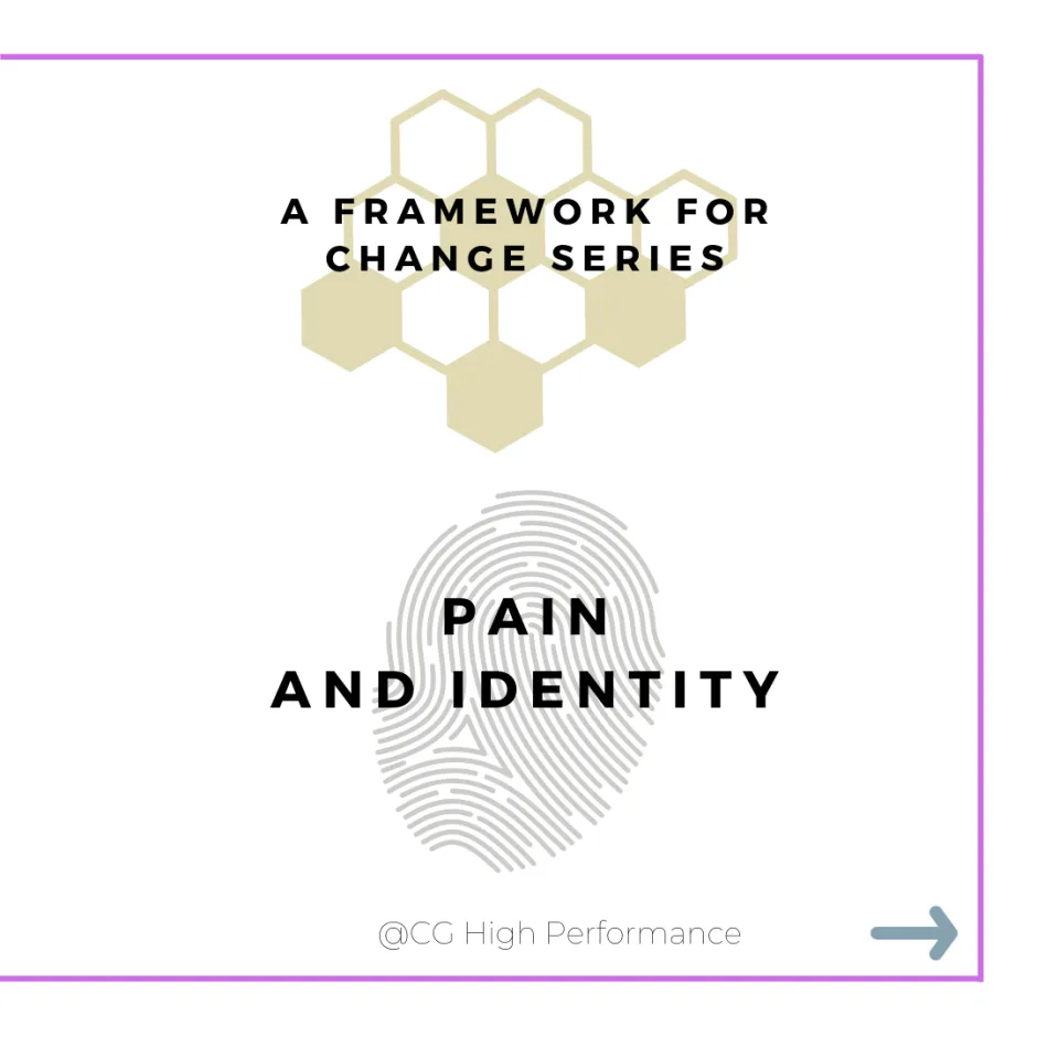 Pain, identity, motivation, control and choice ; A framework for change