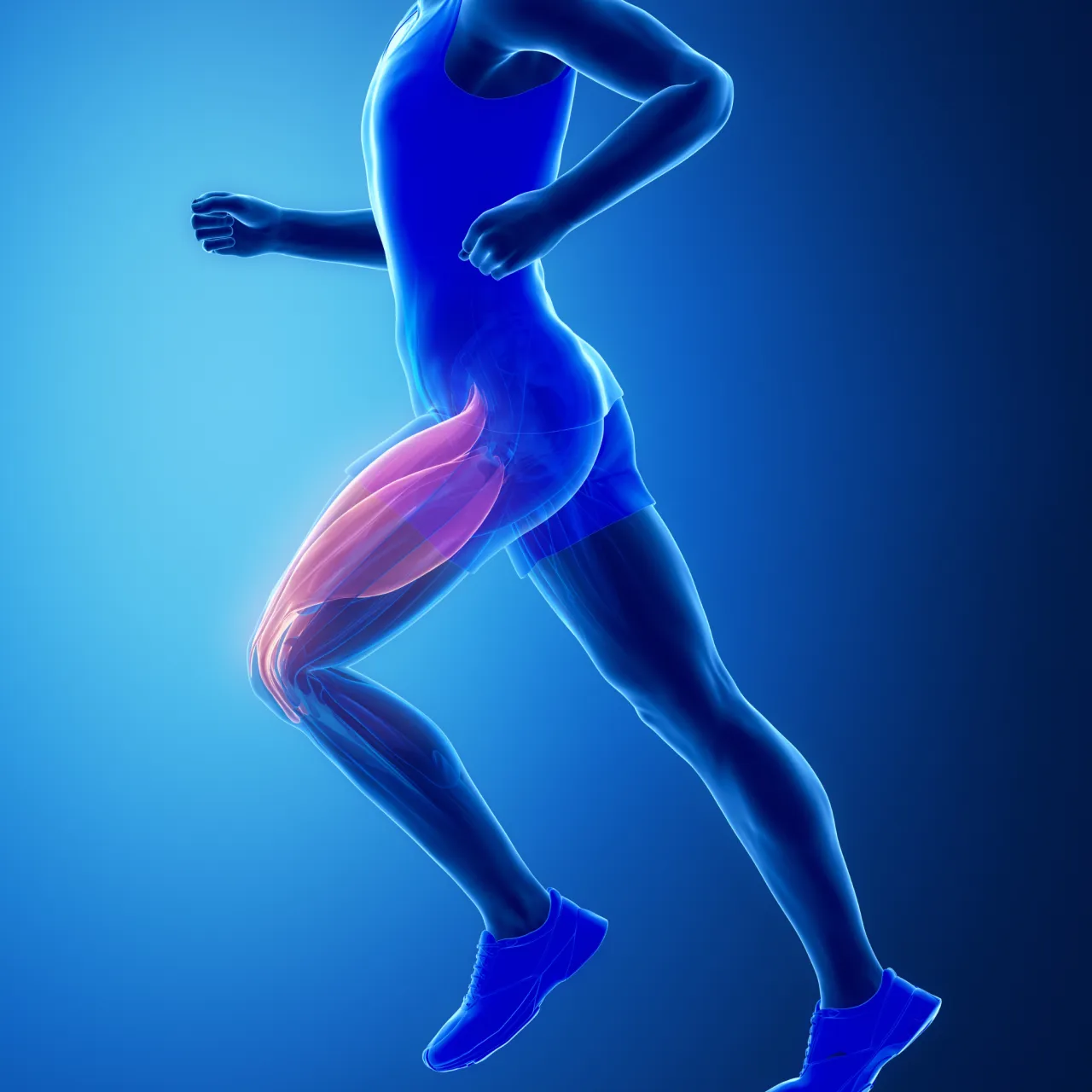ILIOTIBIAL BAND SYNDROME: THE PATHOPHYSIOLOGY, CLINICAL ASSESSMENT, DIAGNOSIS, AND TREATMENT STRATEGY